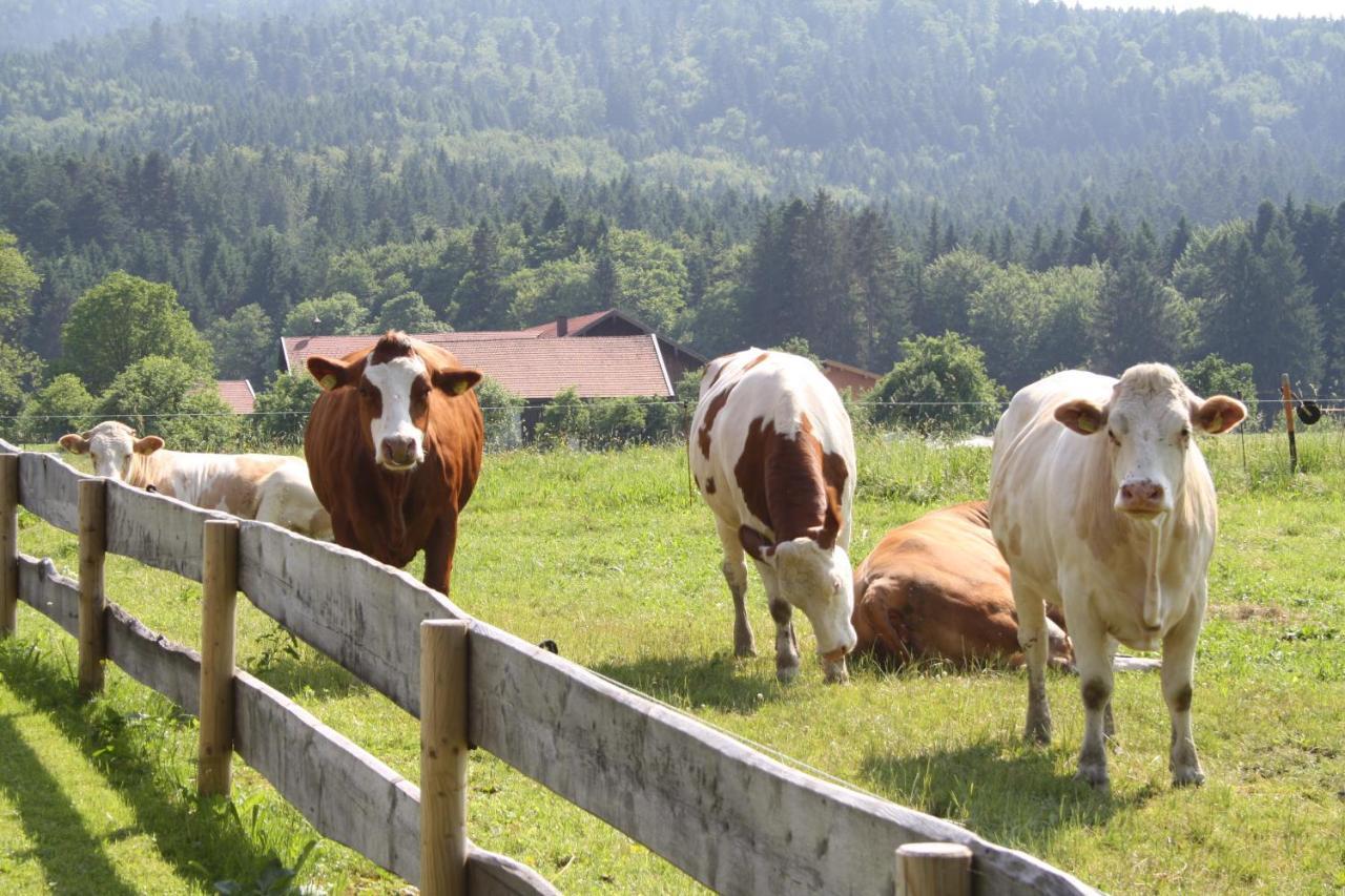 Gaestehaus Herbstbauernhof Siegsdorf Esterno foto
